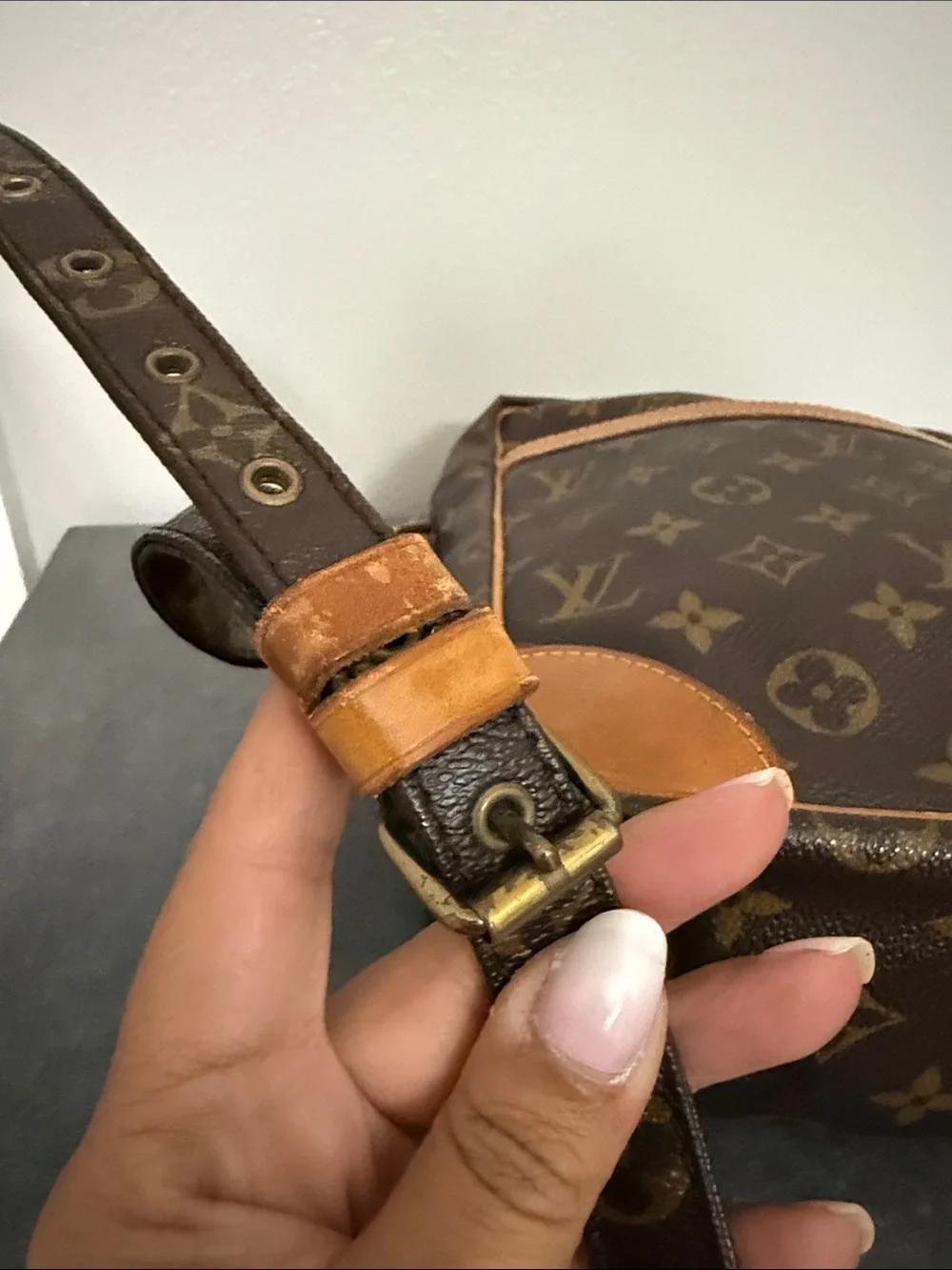 Louis Vuitton Monogram Danube Messenger Bag in Brown and Tan